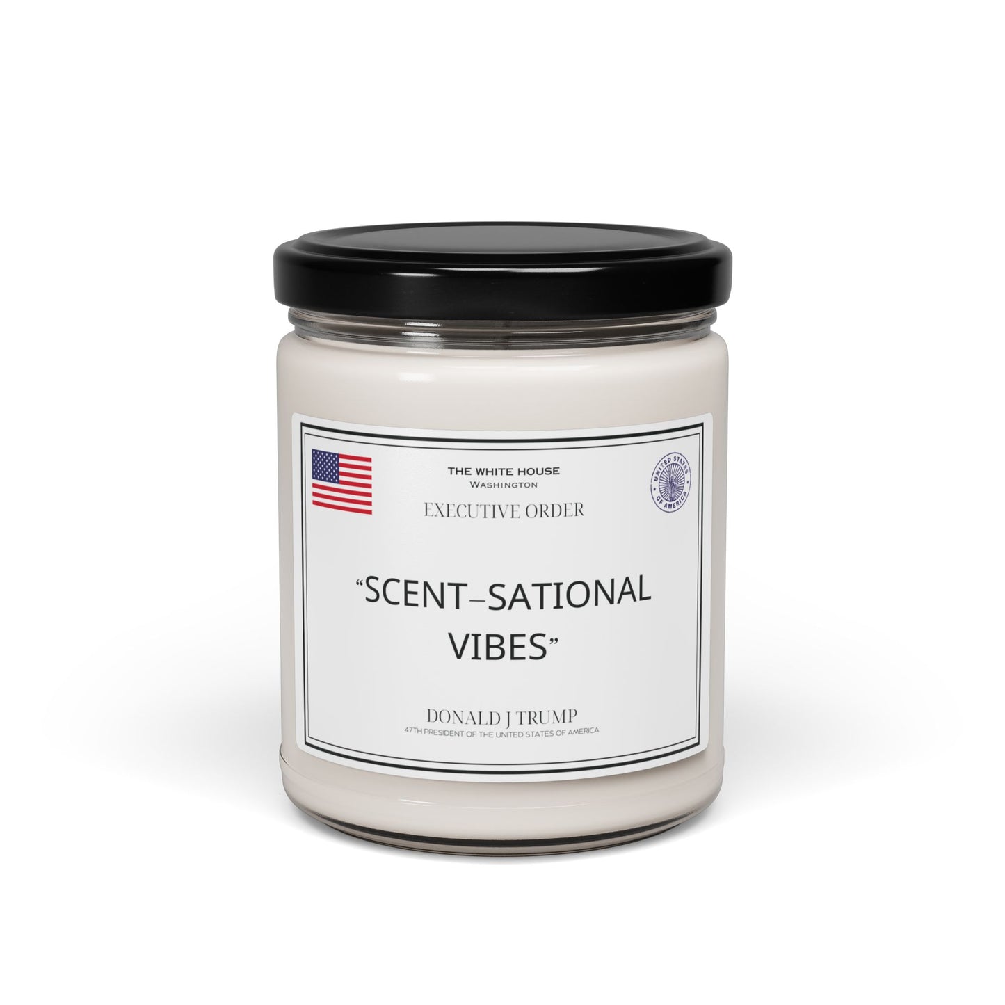Scented Soy Candle, 9oz - Scent-sational vibes